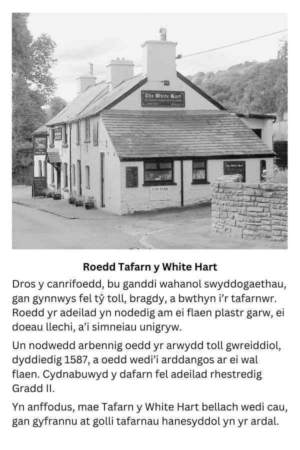 Roedd Tafarn y White Hart Welsh Language Postcard Previously Unpublished